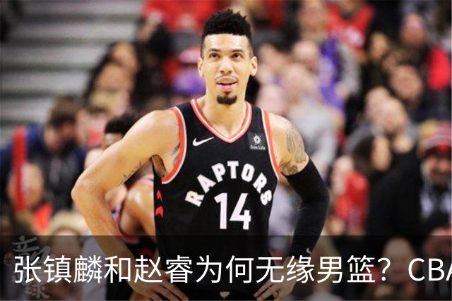 张镇麟和赵睿为何无缘男篮？CBA名记分析，道出2个原因